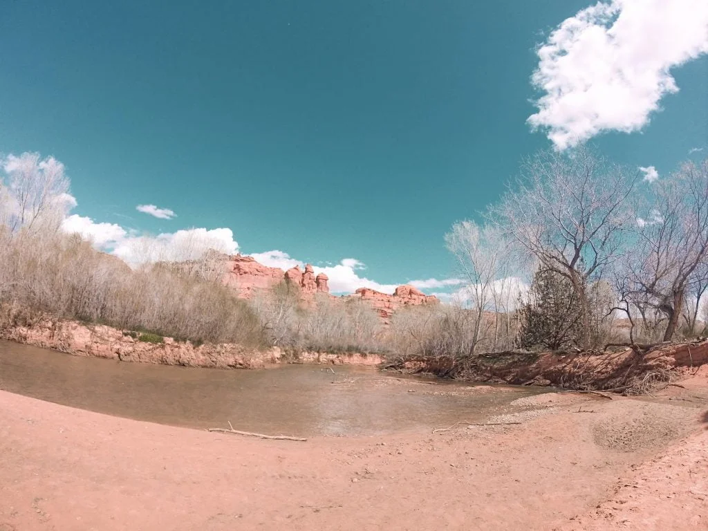 The Escalante River gently winds through the canyon