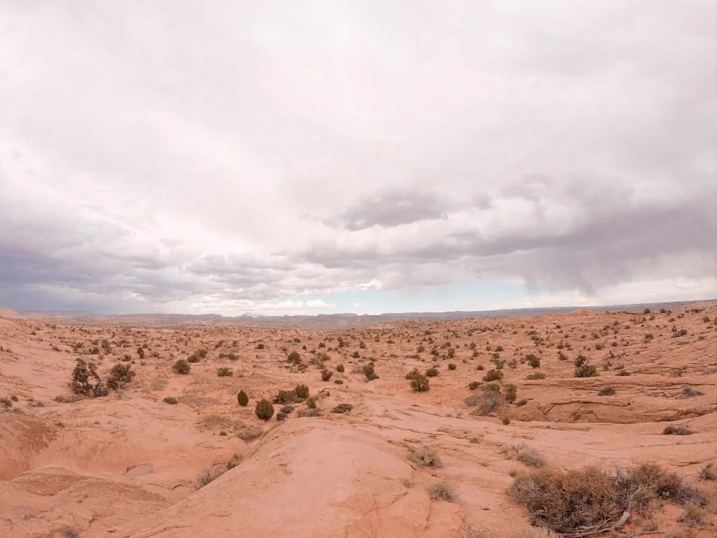 Storm clouds gather in the distance