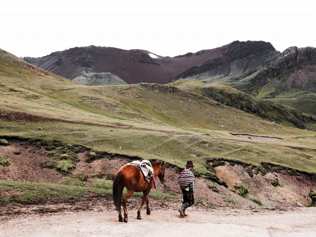 A porter walks back down the mountain with his horse. You can rent one at the base for a round trip or just one way.