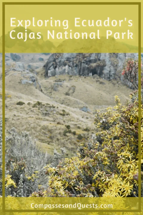 Cajas National Park Pin