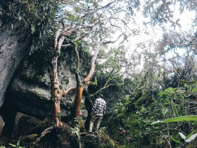 A detour through the quinua forest to a cave