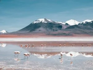 Read more about the article Salar de Uyuni: Touring Bolivia’s Deserts