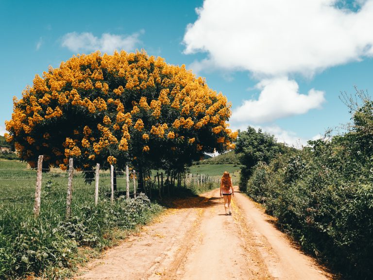 Samaipata City Guide