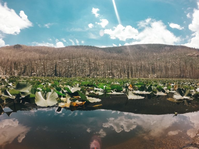 Cub Lake in Rocky Mountain National Park