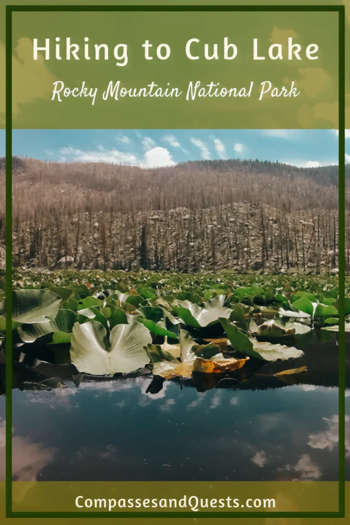 Cub Lake Pin