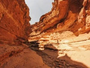 Read more about the article Hiking Cathedral Wash to the Colorado River