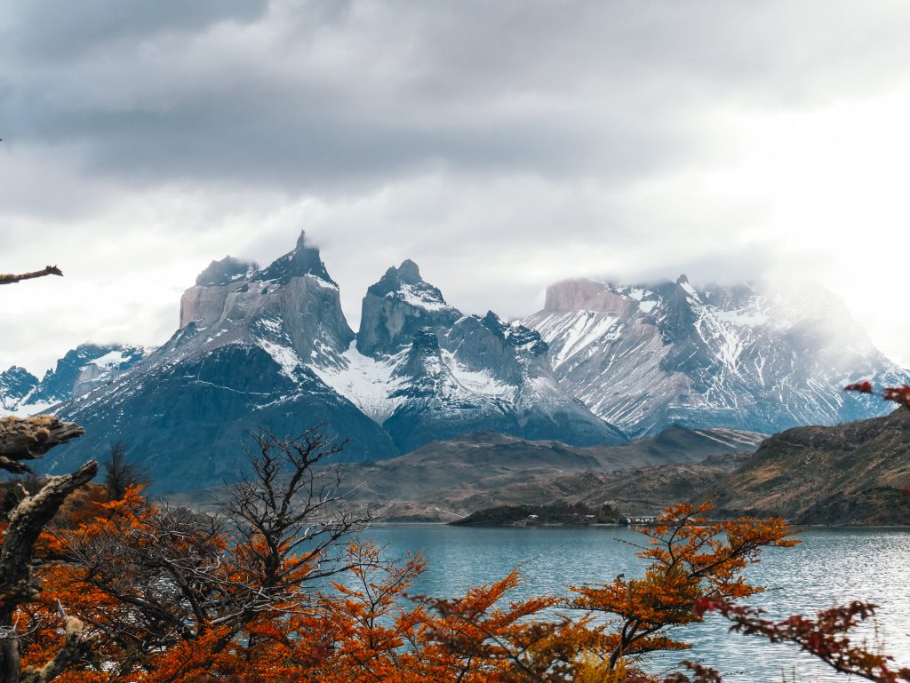Fall foliage in Torres del Paine