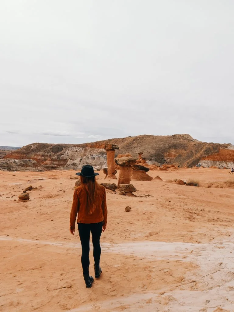 Looks like it could be Mars!