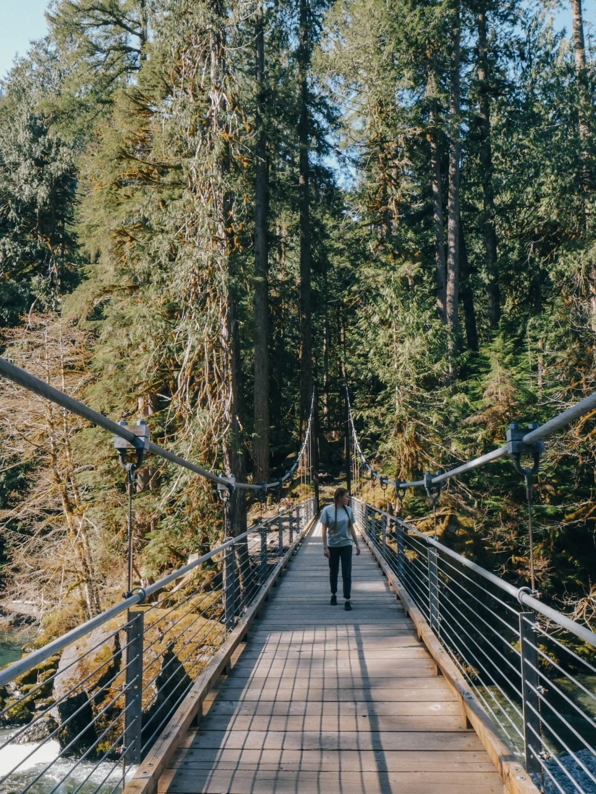 Hiking the Staircase Rapids Loop – Olympic National Park - Compasses ...