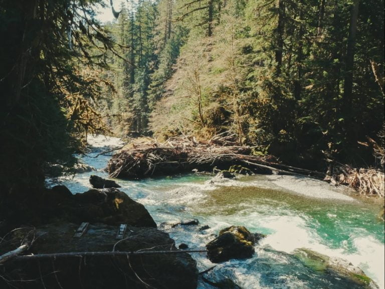 Staircase Rapids Loop