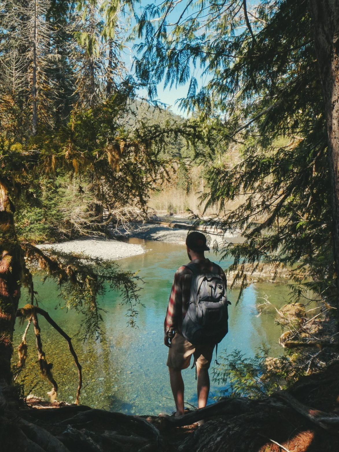 Hiking the Staircase Rapids Loop – Olympic National Park - Compasses ...