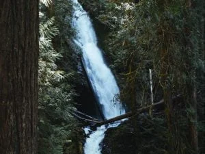 Read more about the article Hiking to Murhut Falls in Olympic National Forest