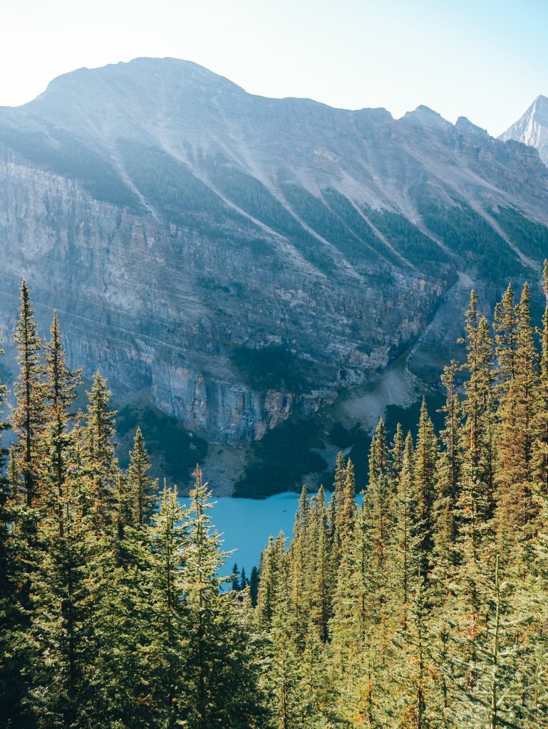 Vibrant Lake Louise peeking through the trees on the way up to the Lake Agnes Tea House