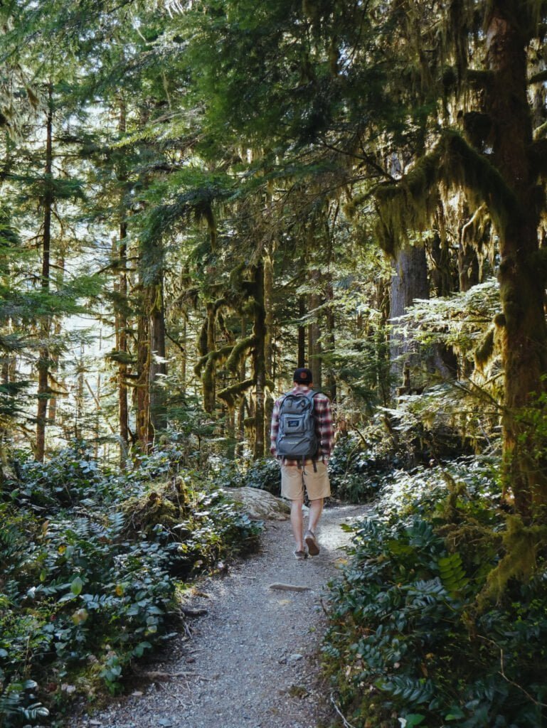 We loved the beautiful mossy forests of Olympic National Park