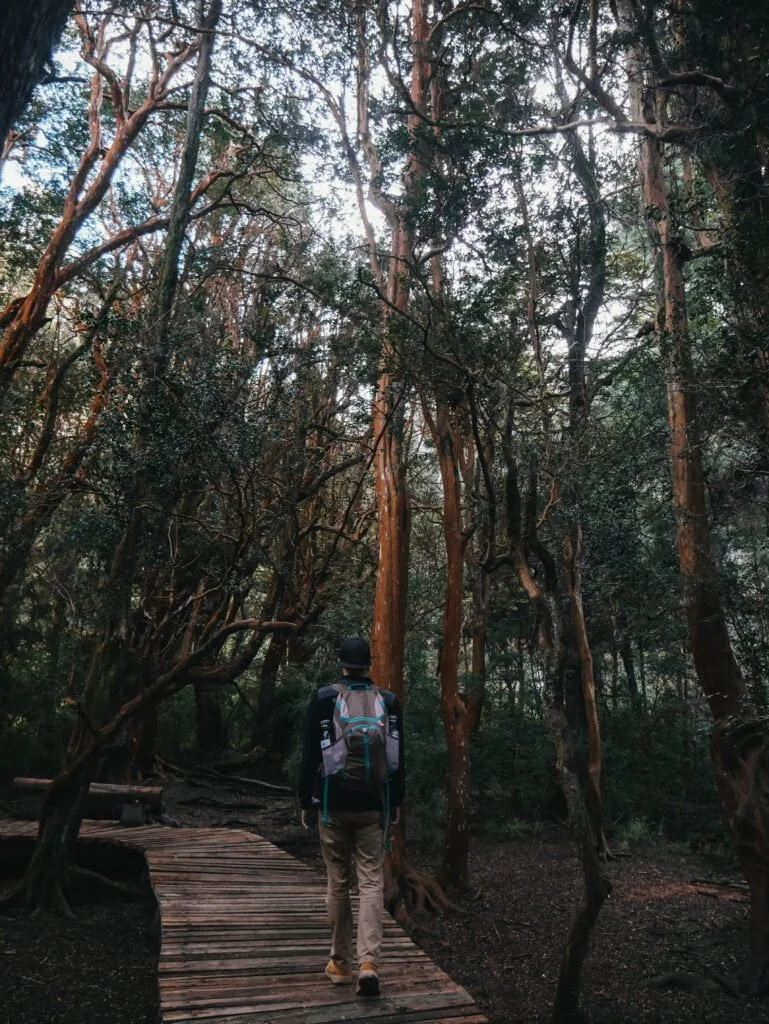 There are so many stunning places to explore in this region of Argentina