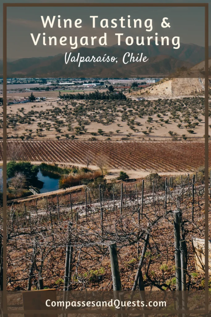 Valparaíso Wine Tour Pin