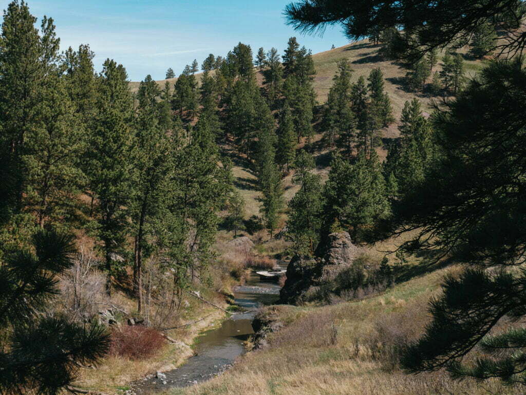 Beaver Creek as seen from the Lower Rotary Canyon Loop