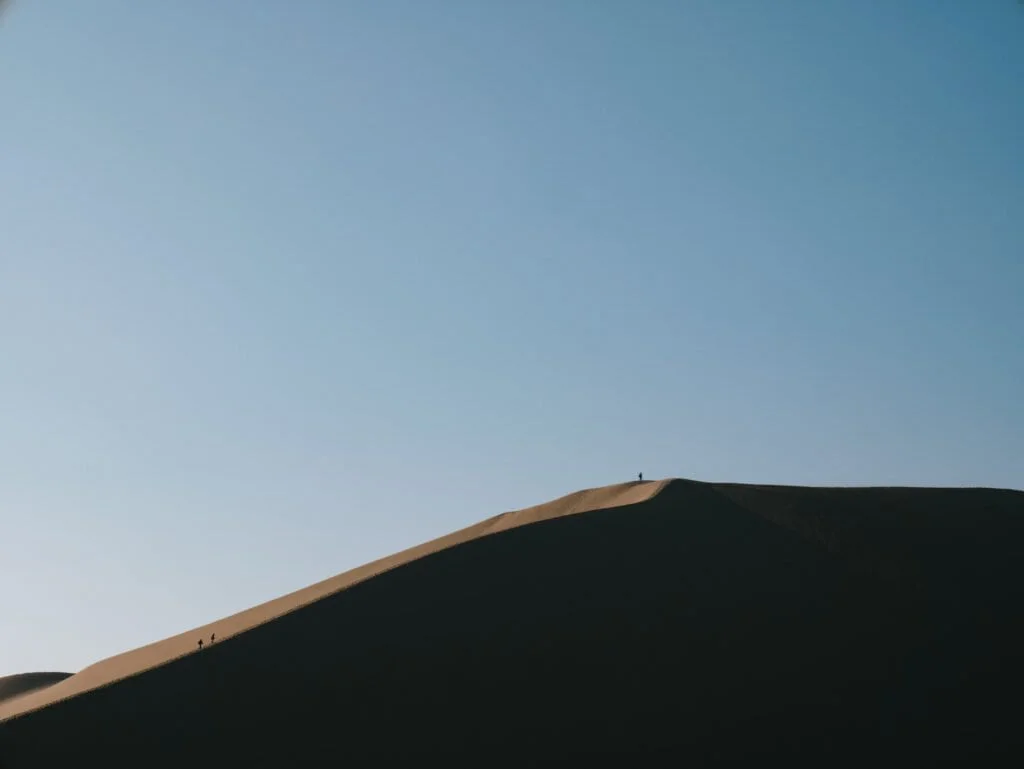 We wish we had more time to climb the dunes and explore the area!