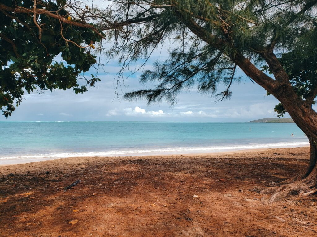 A calm day at Seven Seas Beach