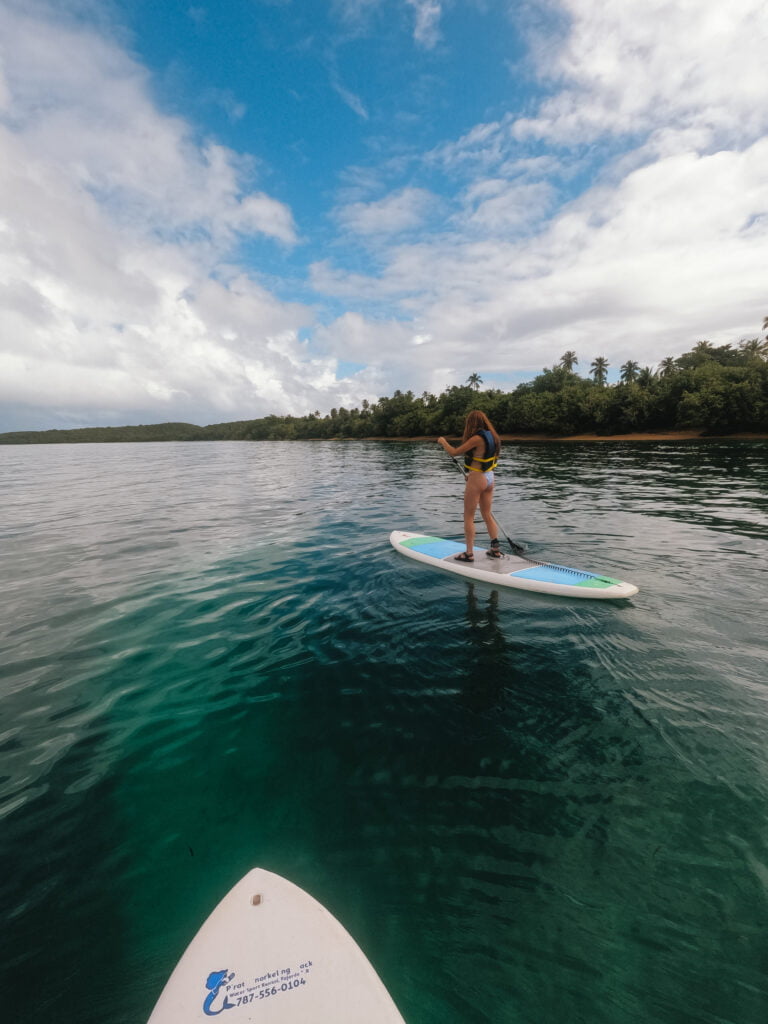 Paddle boarding near Seven Seas Beach