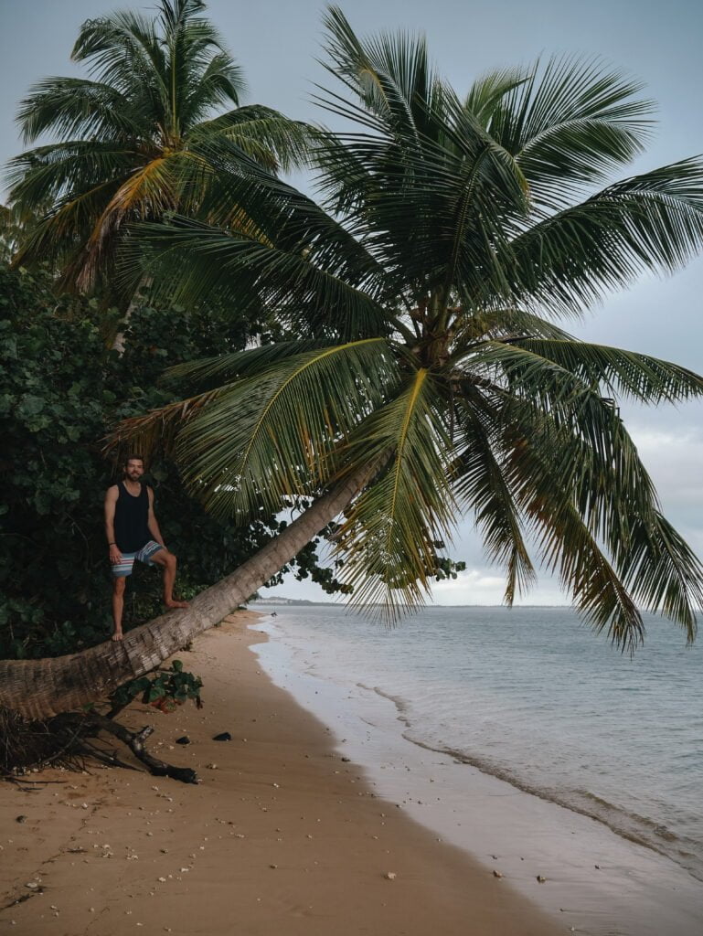 Many palm trees line Luquillo Beaches