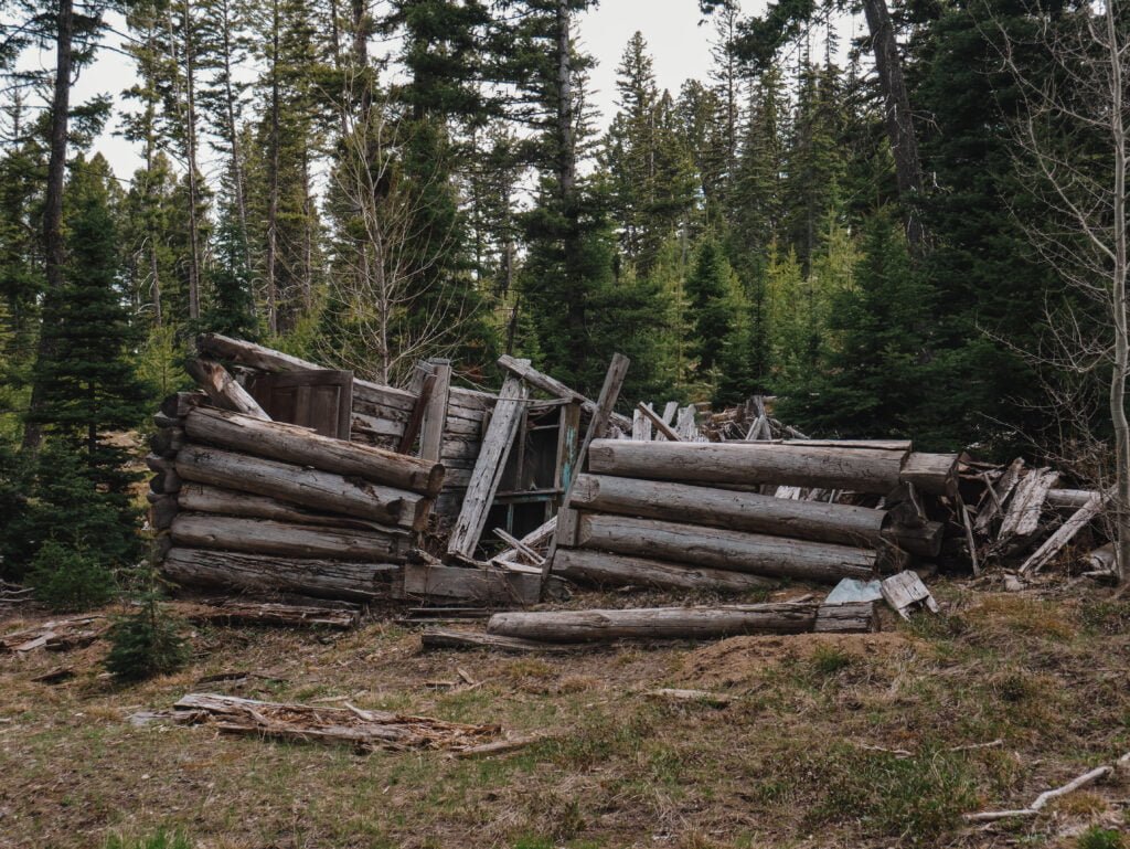 A deteriorated cabin along the Placer Trail
