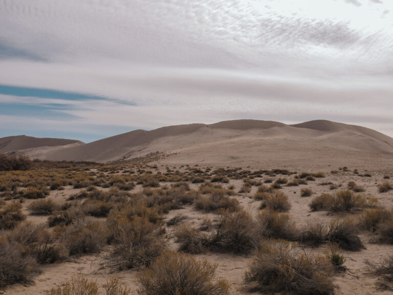 Bruneau Dunes State Park