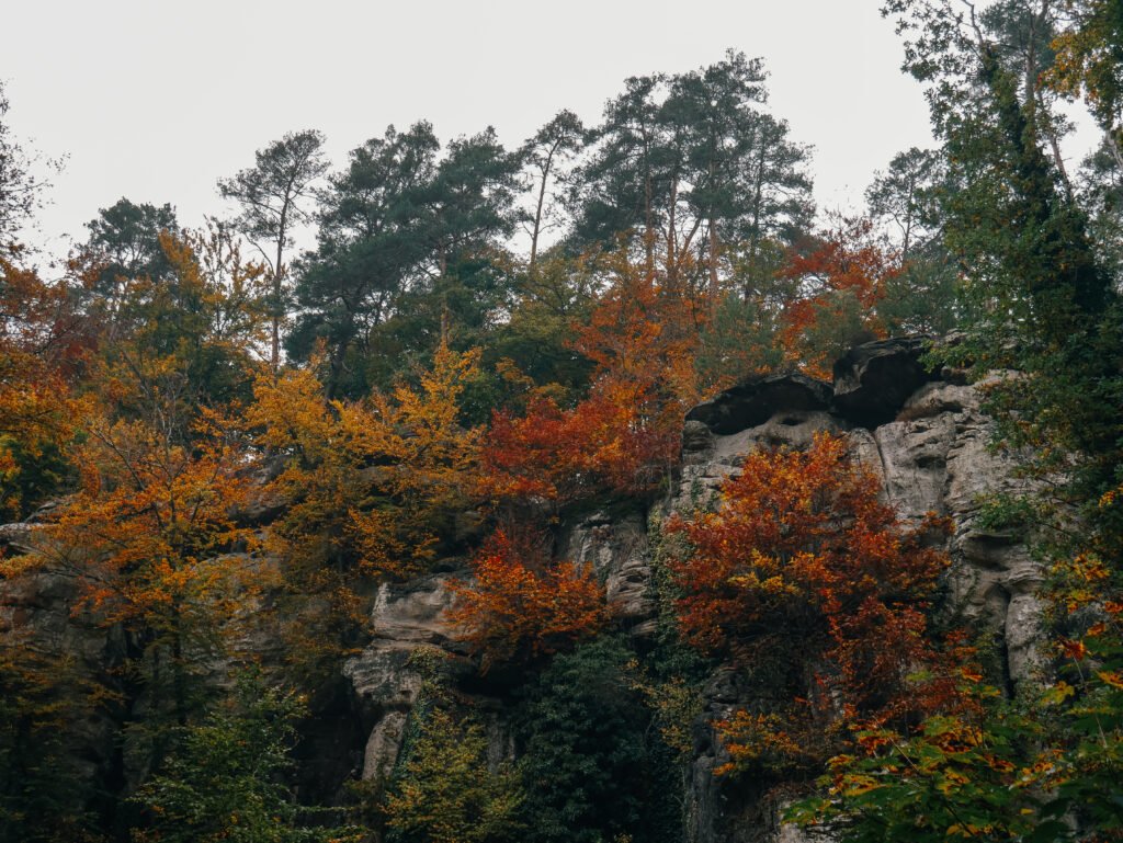 Mullerthal Trail