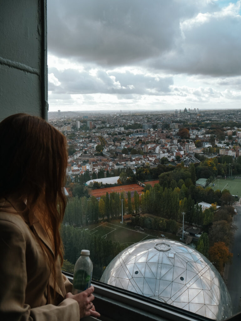 Looking out over Brussels