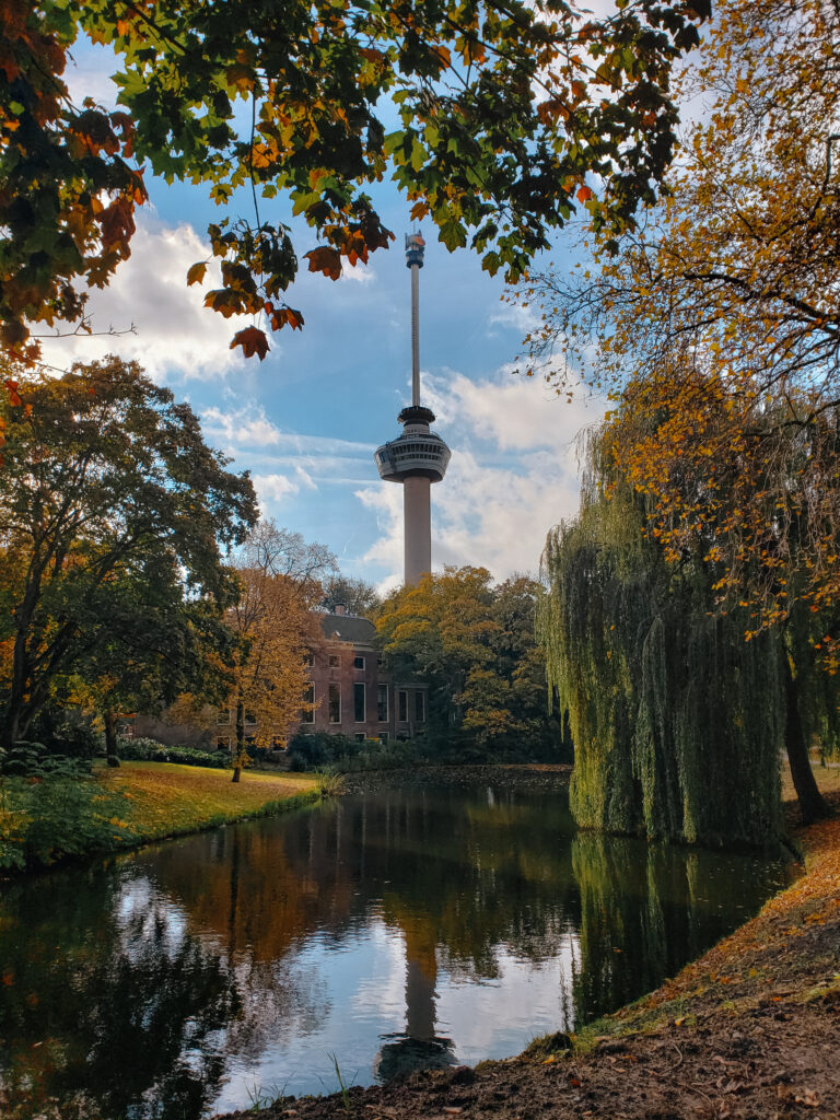 Pretty fall colors and a glimpse of the Euromast from Het Park