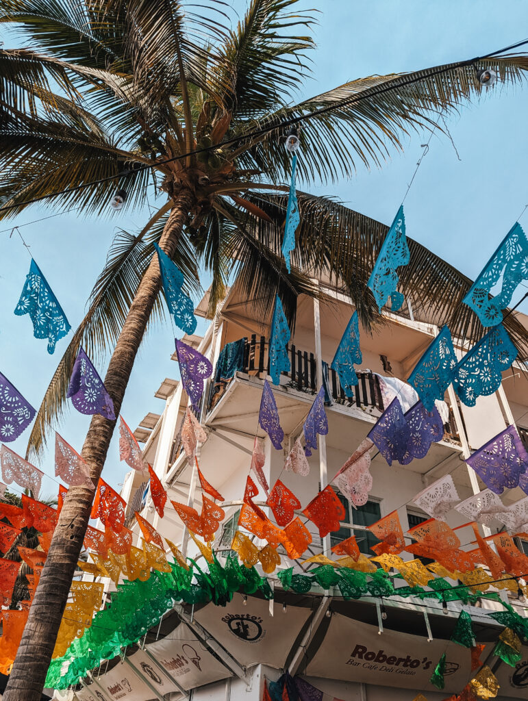 Colorful Puerto Vallarta