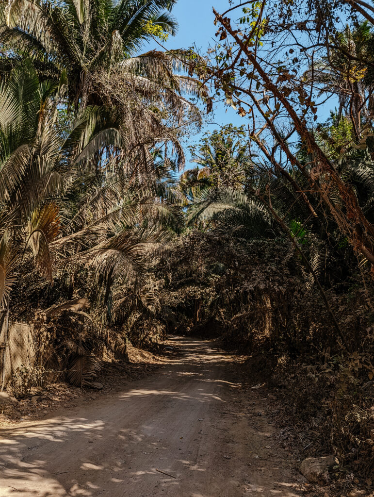 Walking Sayulita's back roads