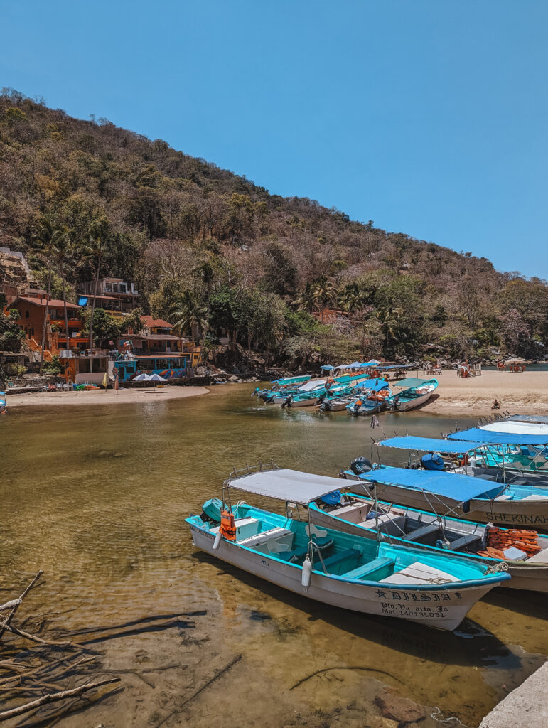 Boats along the mouth of the river in Boca de Tomatlán