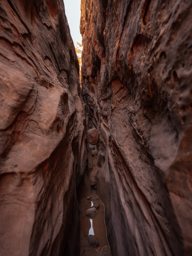 We encountered only a little bit of water and mud in Little Wild Horse Canyon