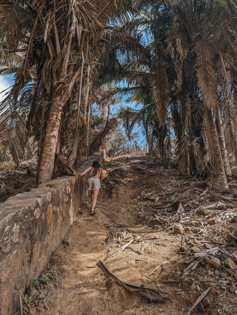 The steep climb up from Playa Malpaso