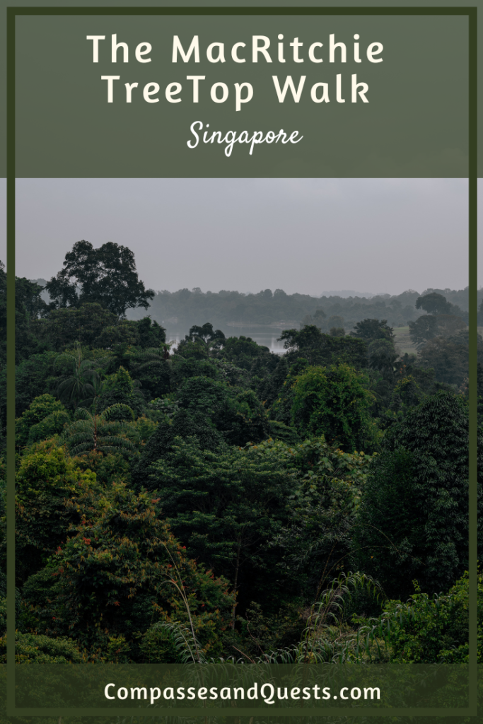 MacRitchie TreeTop Walk Pin