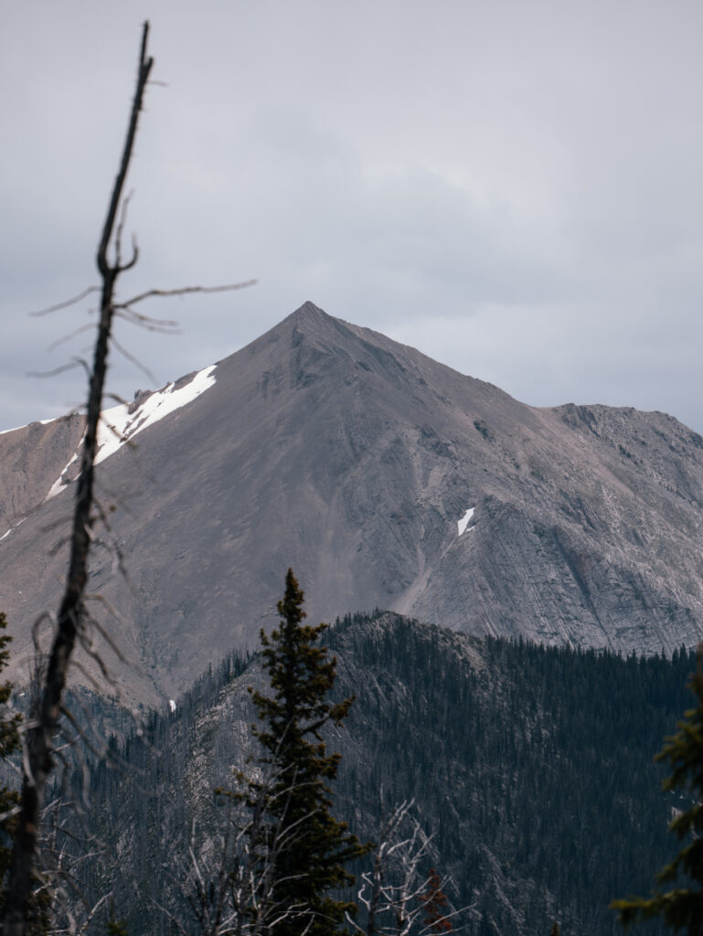 Beautiful Montana views from the trail 