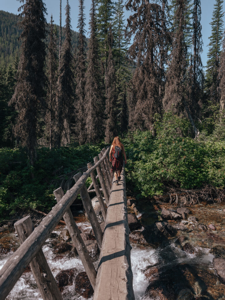 The bridge river crossing