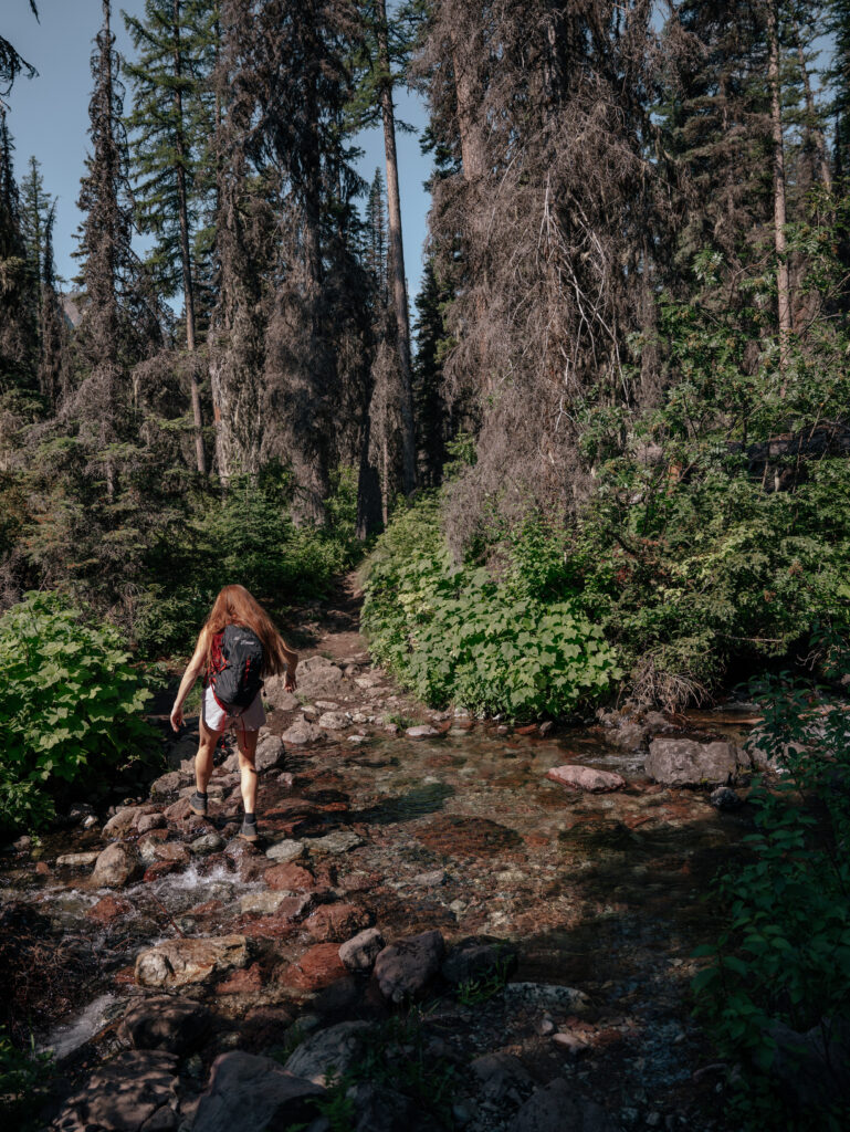 Creek crossing #2 