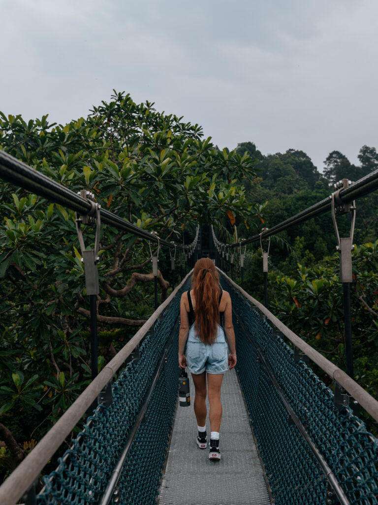 The MacRitchie TreeTop Walk suspension bridge