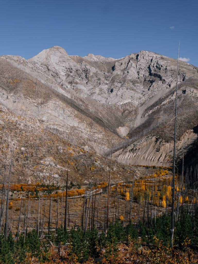 Looking back towards the West Fork Teton Campground and trailhead from the trail during a fall hike