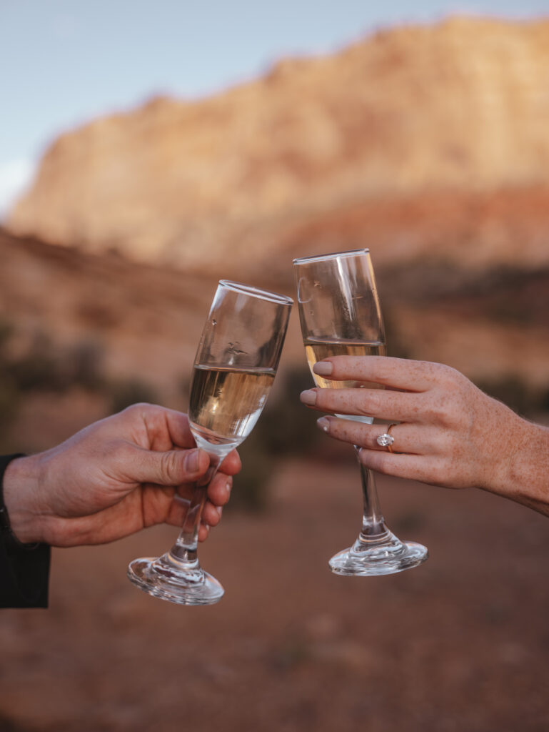 Desert Engagement Shoot