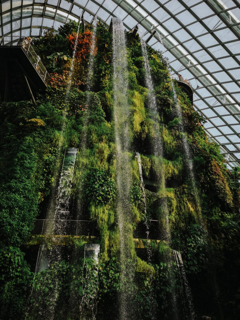 The tallest indoor waterfall in the world!