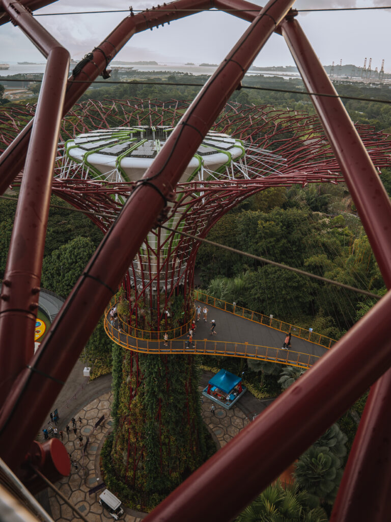 The OCBC Skyway connects and wraps around the Supertrees