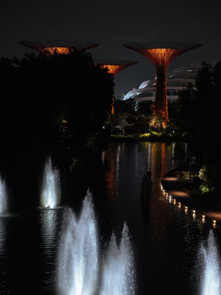 Walking through the Gardens by the Bay after dark