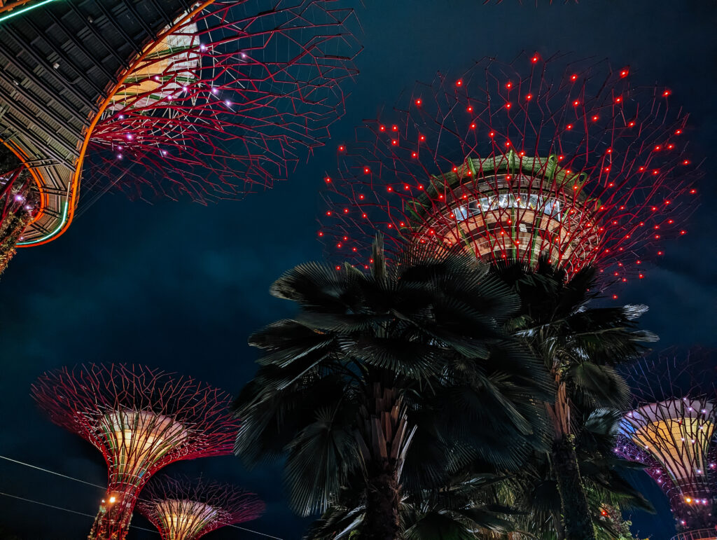 The Supertrees lit up after dark - Gardens by the Bay