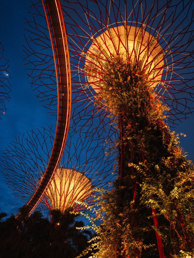 Supertrees at Gardens by the Bay