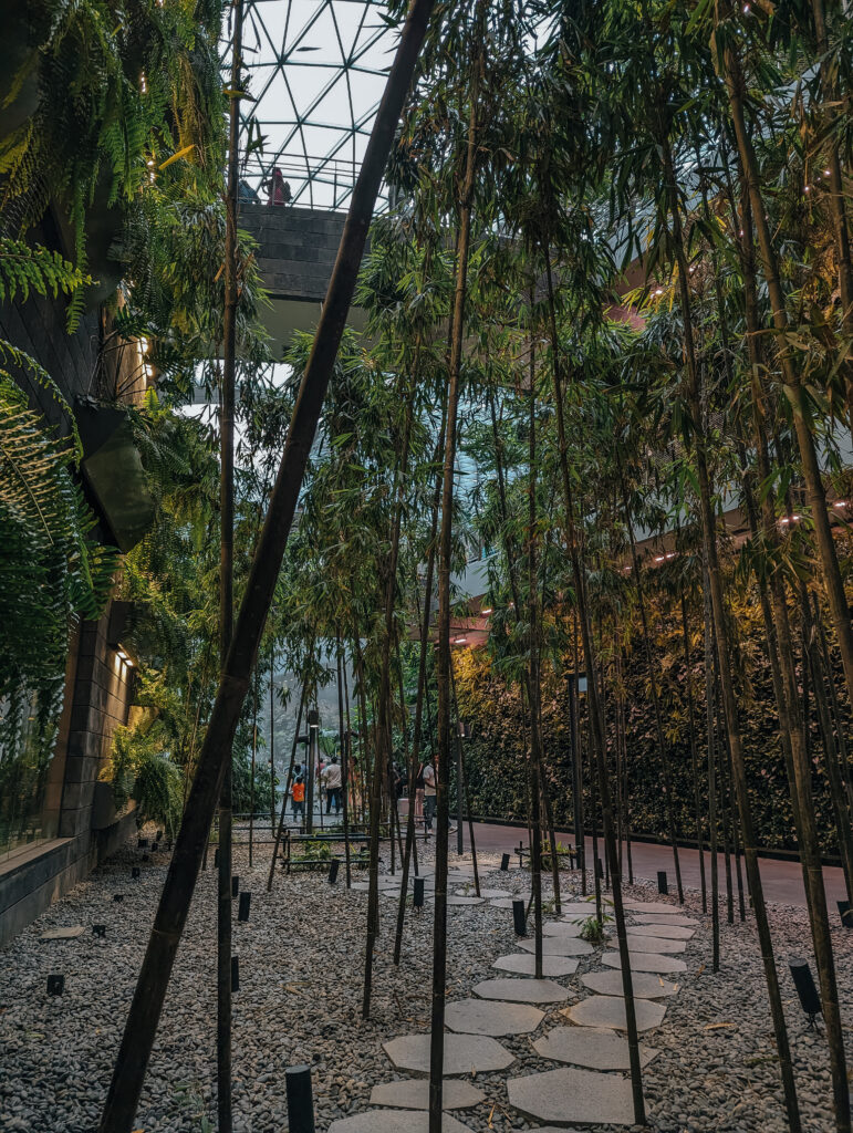 A walkway leading through bamboo to the Shiseido Forest Valley