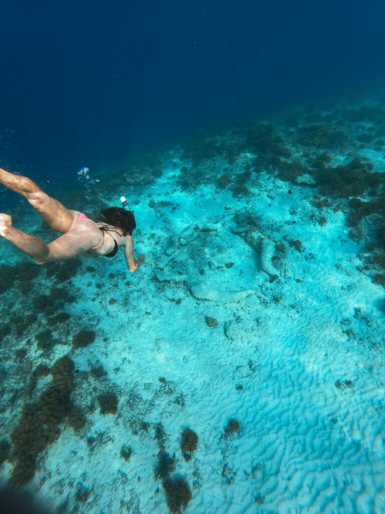 Snorkeling near Gili Meno