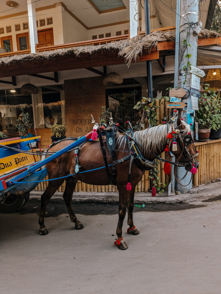 A Cidomo (horse-drawn carriage) on Gili Air